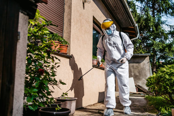 Wasp Removal Services in Treasure Island, FL
