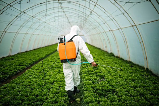 Best Best Pest Control Near Me  in Treasure Island, FL