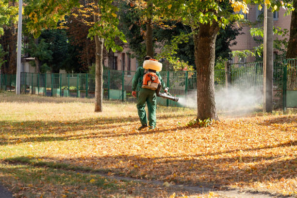 Best Affordable Pest Control Services  in Treasure Island, FL