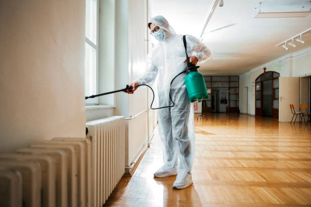 Best Commercial Pest Control Services  in Treasure Island, FL